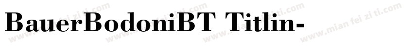 BauerBodoniBT Titlin字体转换